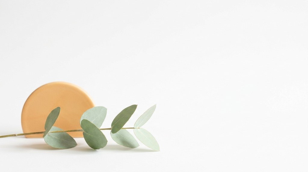 Eucalyptus branch and a rising sun — the WeekArc visual family